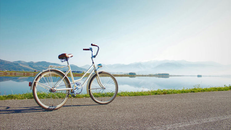 Vélos électriques