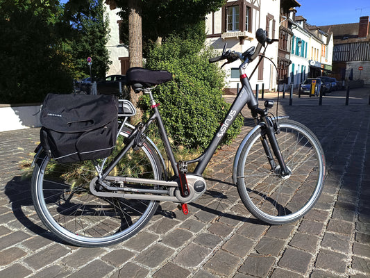 Sinus BC55 moteur Bosch